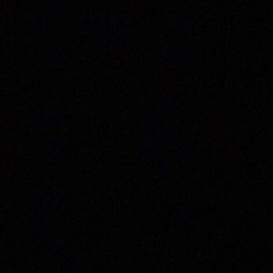 Meet your Posher, Benjamin